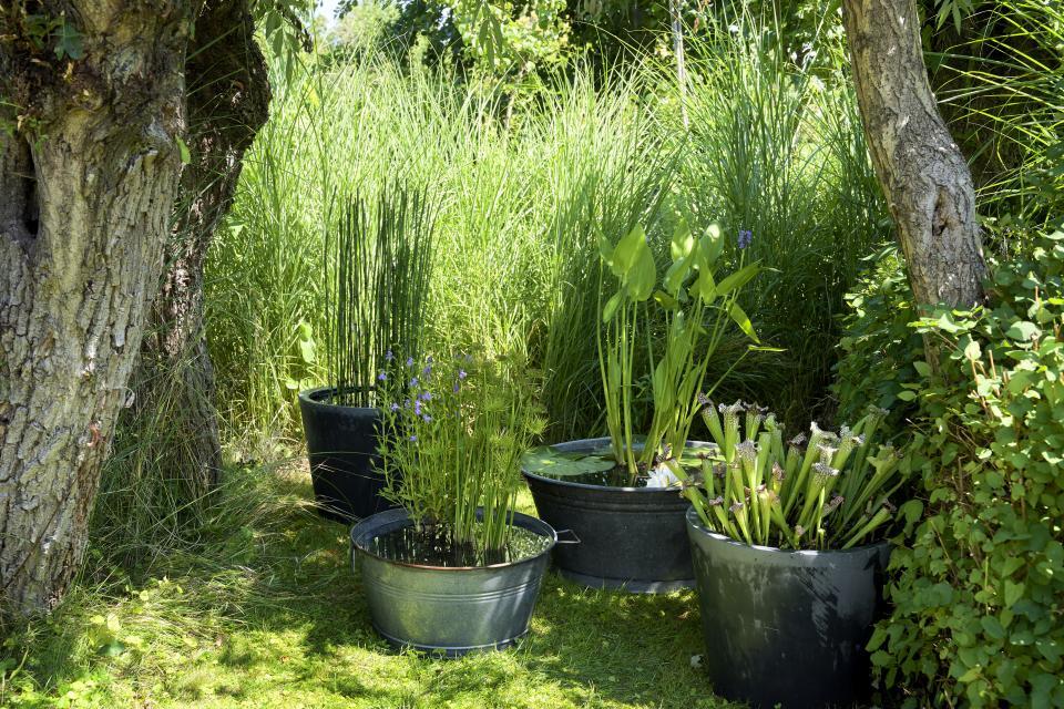 Hoe maak je een kleine terrasvijver?