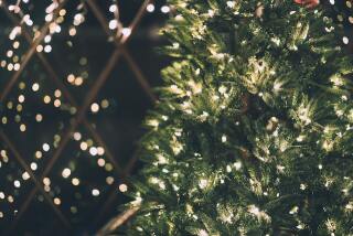 Hoeveel verbruikt mijn LED-kerstverlichting? 