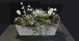 Winterse kerstbloembakjes