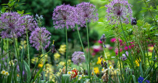 Verduurzaam je tuin