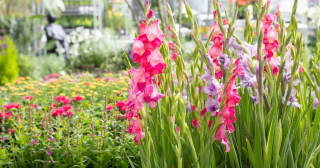 Het Grote Tuinonderzoek 