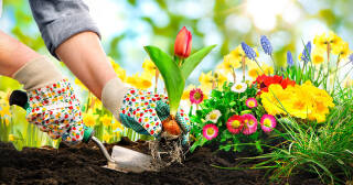 Lente Opendeur