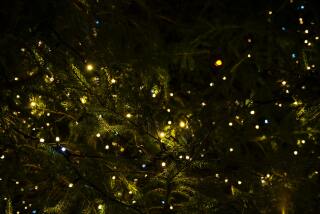 Help mee onze kerstboom versieren!